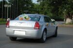 Украшения для Вашего автомобиля 11